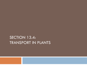 Transport in Plants(student copy).