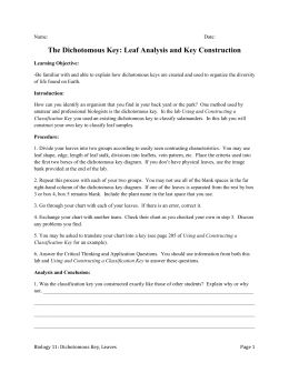 Taxonomy WS #2 Dichotomous Key Worksheet