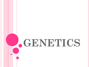 genetics - Wikispaces