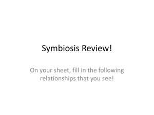 Symbiosis Review!