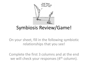Symbiosis Review