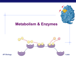 Enzyme PowerPoint