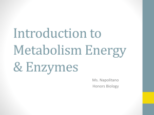 energy & enzymes ppt