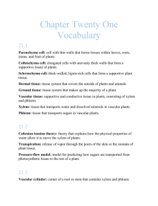 Chapter Twenty One Vocabulary