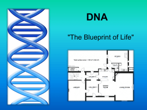 DNA