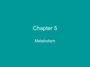 Chapter 5 Microbial Metabolism