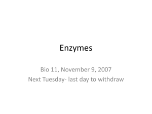 Enzymes - Fog.ccsf.edu