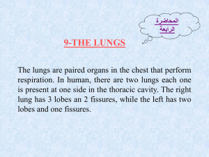 المحاضرة الرابعة Function of lungs against damage