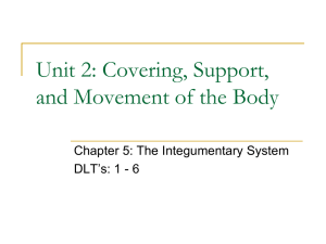 Integumentary System DLT's 1-6