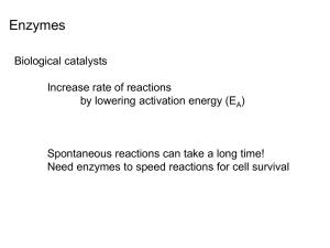 Enzymes