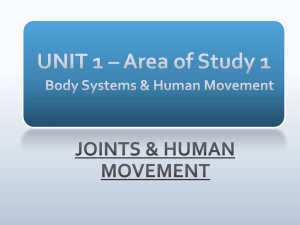joints & movement power poin