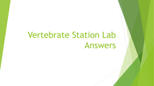 Vertebrate Station Lab Answers