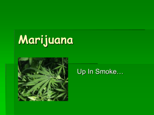 Marijuana - Cloudfront.net