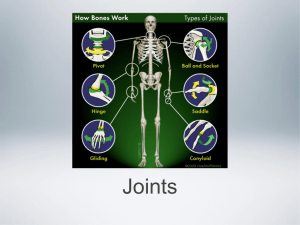 Joints - Kleins