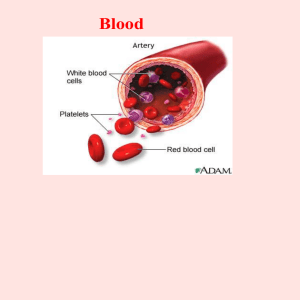 Leukocytes- white blood cells