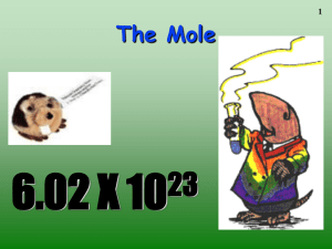The Mole - williamsscience