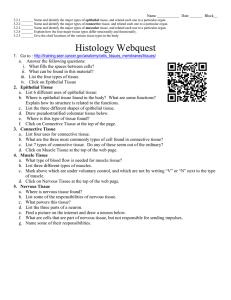 Histology Webquest