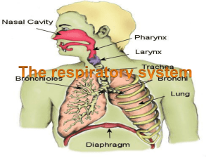 The common terms related to respiratory system Term