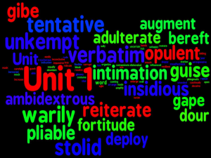 Unit 1 vocabulary sentences