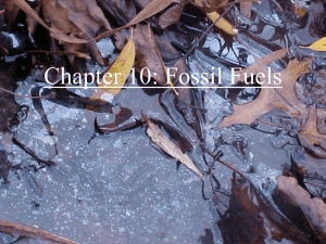 Chapter 10: Fossil Fuels