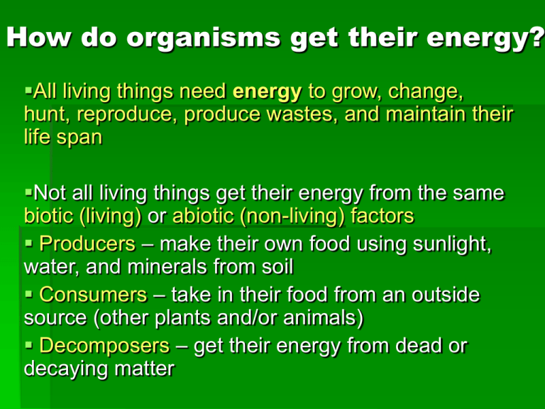 How do organisms get their energy?