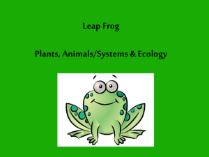 Leap Frog Plants, Animals/Systems & Ecology