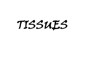 tissues - Ms. Zhong's Classes