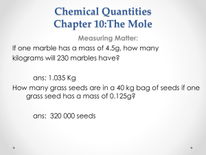 Chapter 10 The Mole Notes