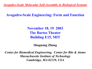 Avogadro-Scale Molecular Self-Assembly in Biological Systems