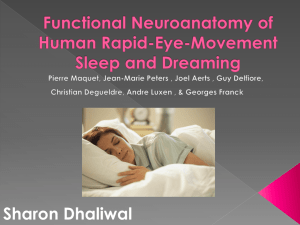 Functional Neuroanatomy of Human Rapid-Eye