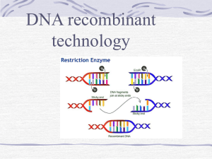Definition of DNA recombinant Technology,