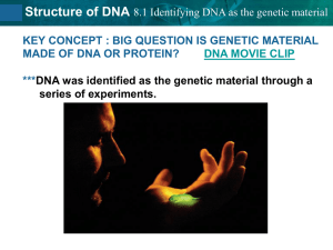 8.2 Structure of DNA