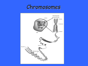 Cell Reproduction