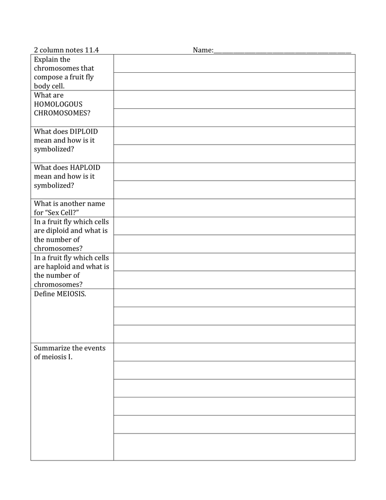 Two Column Notes Template