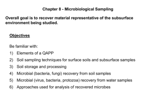 Chapter 08 sampling