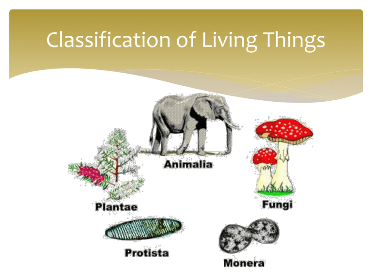 Classification and Taxonomy Powerpoint