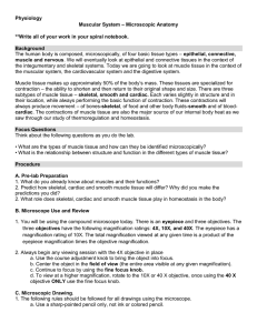 Physiology Muscular System – Microscopic Anatomy **Write all of