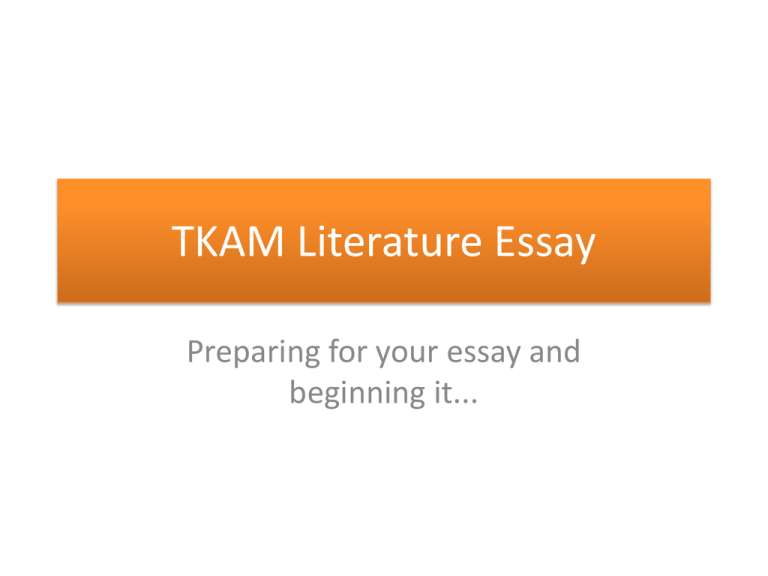 introduction for tkam essay