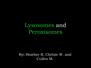Lysosomes and Peroxisomes