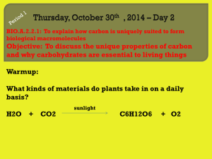 II. Types of Carbohydrates