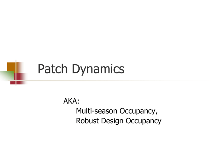 Patch Occupancy and Dynamics