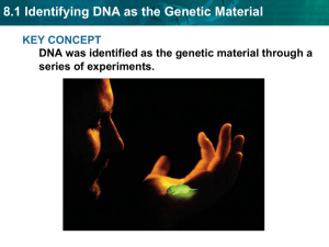 8.1 Identifying DNA as the Genetic Material