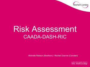 Piloting the CAADA- DASH Risk Assessment tool, Michelle