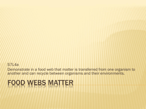 Food Webs Matter