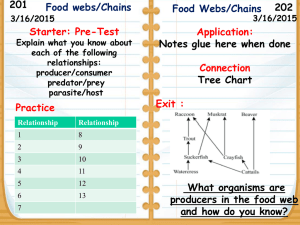 Food Webs Notes