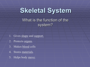 Study Guide for human body unit-all systems
