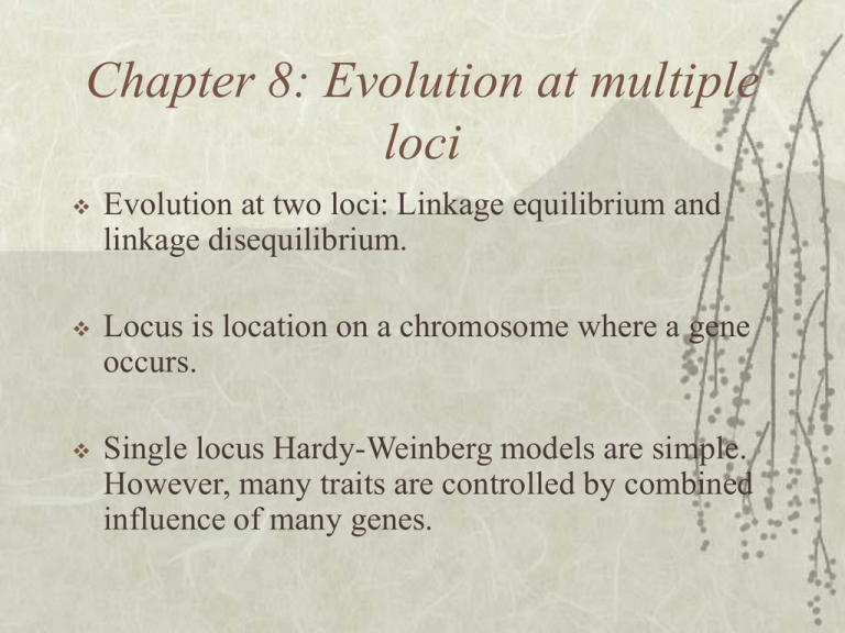Evolution At Multiple Loci Worksheet