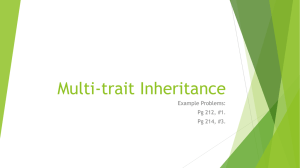 Multi-trait Inheritance
