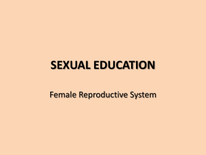 SEXUAL EDUCATION - Female and Male Reproductive System