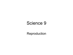 reproduction presentation